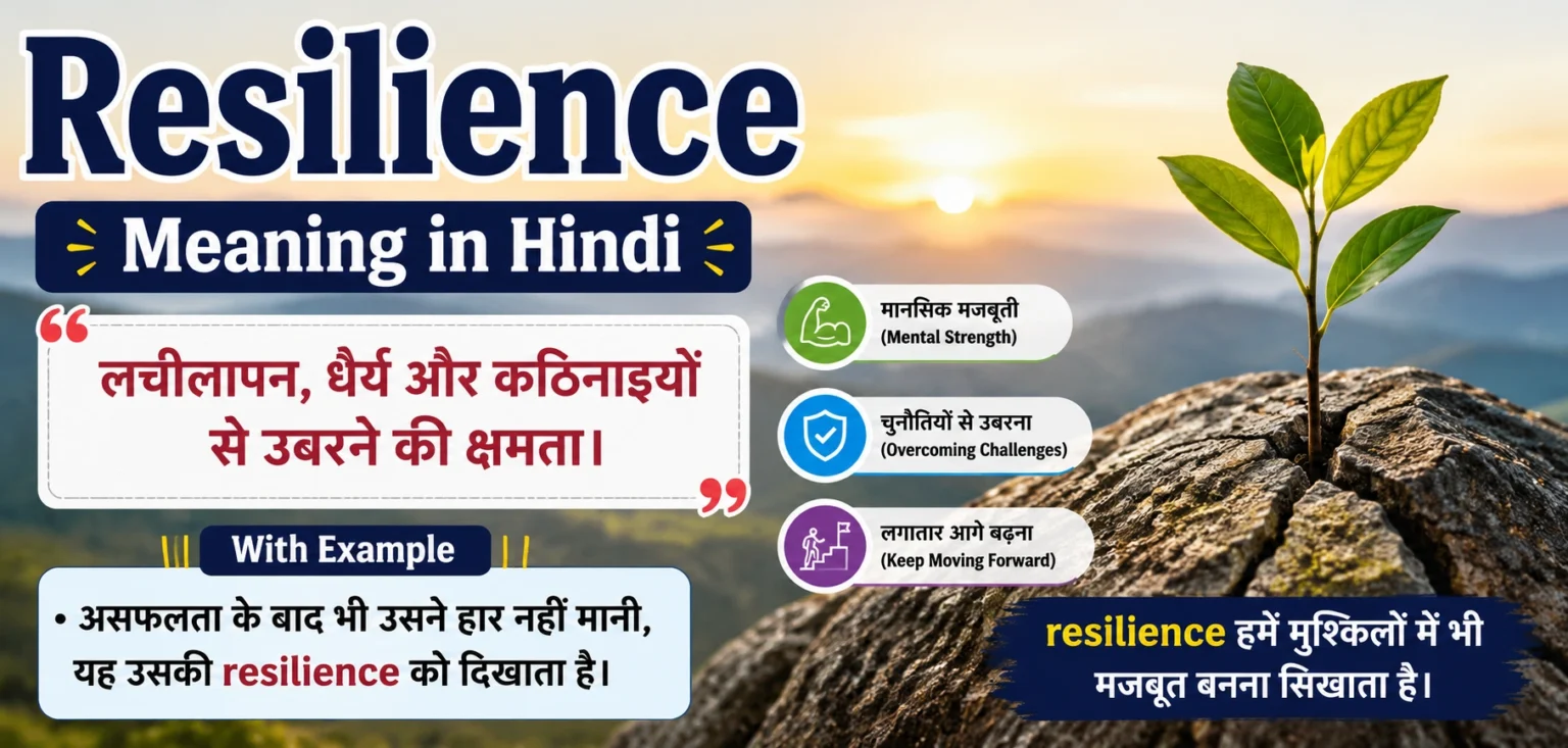 Resilience Meaning in Hindi,
