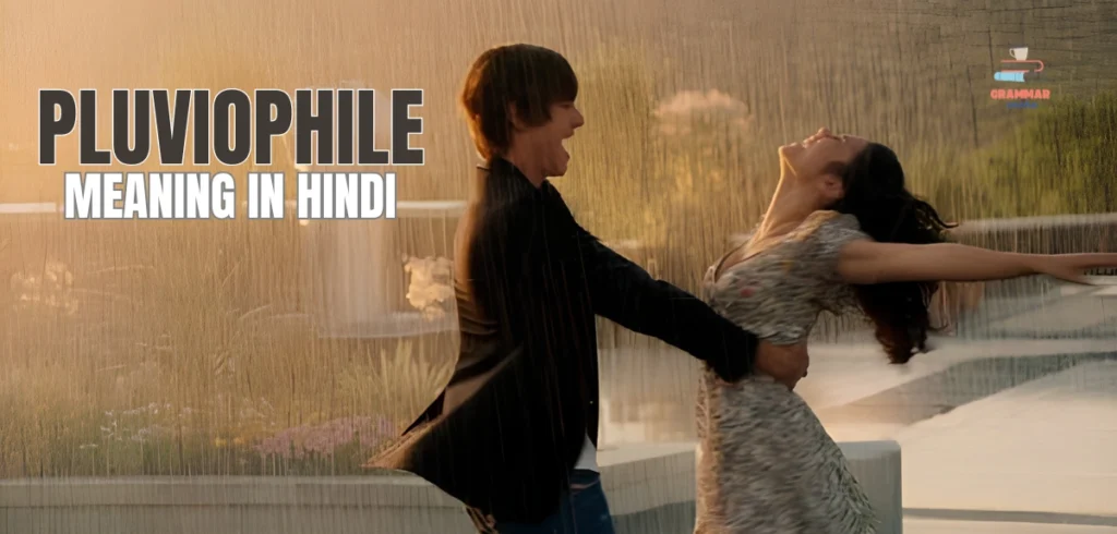 Pluviophile Meaning In Hindi