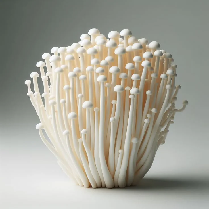 Mushroom Veg Or Non Veg In Hindi
